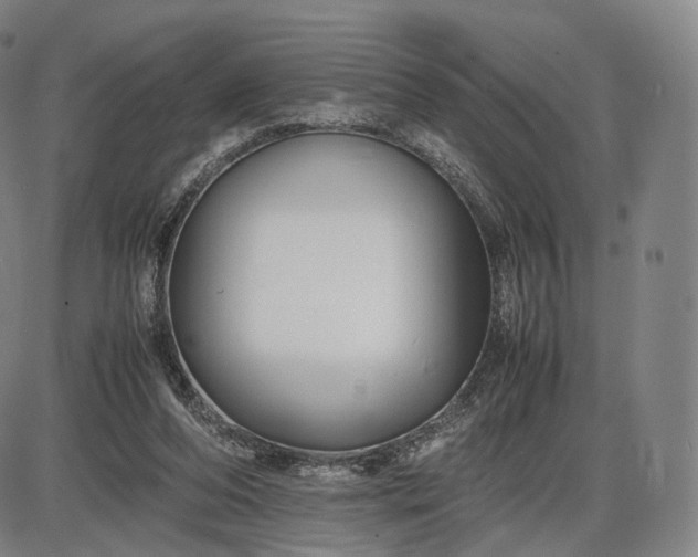 X0000085830208200703301628