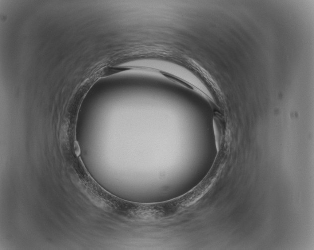 X0000085830209200703301628