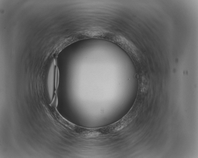 X0000085830210200703301628