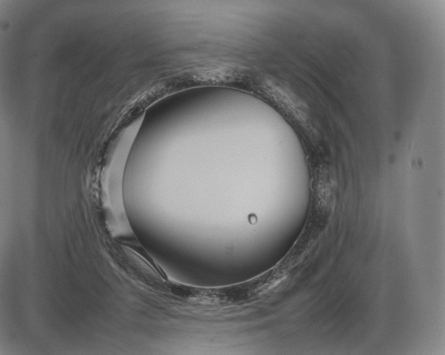 X0000085830211200703301628