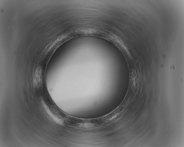 X0000085830212200703301628