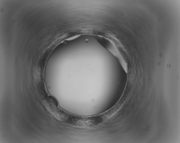 X0000085830213200703301628