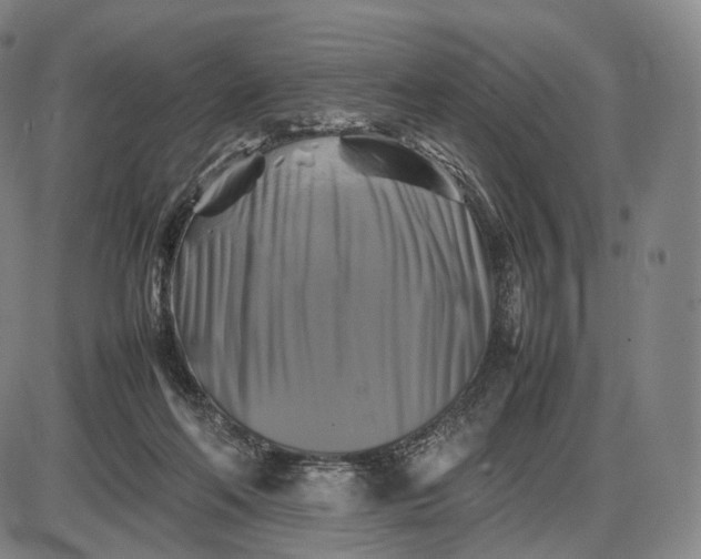 X0000085830214200703301628