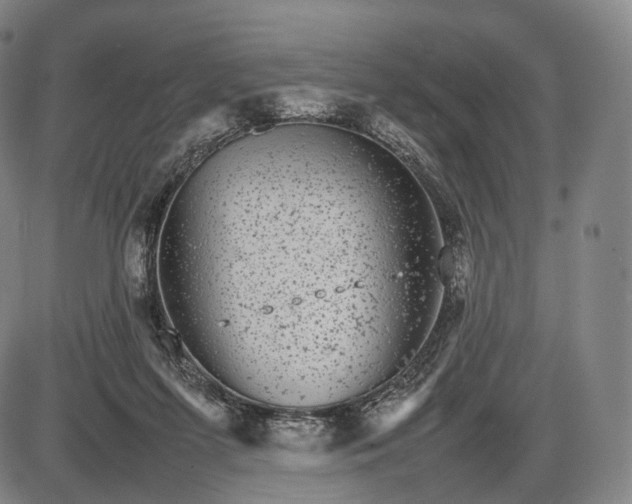 X0000085830215200703301627