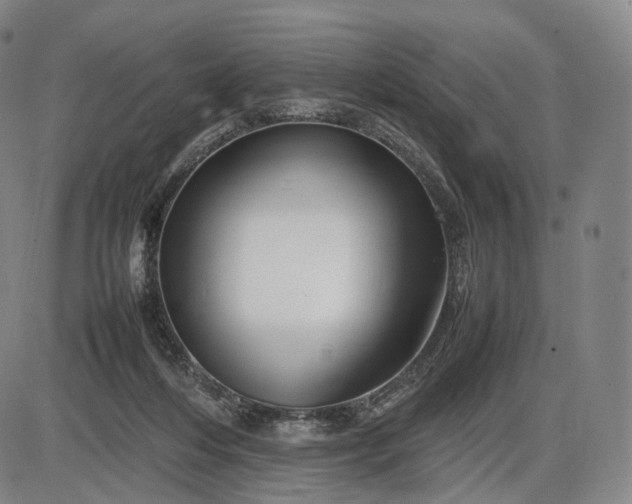 X0000085830216200703301627