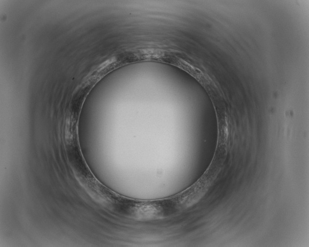 X0000085830218200703301627