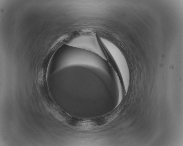 X0000085830219200703301627