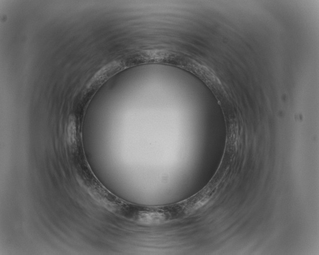 X0000085830220200703301627