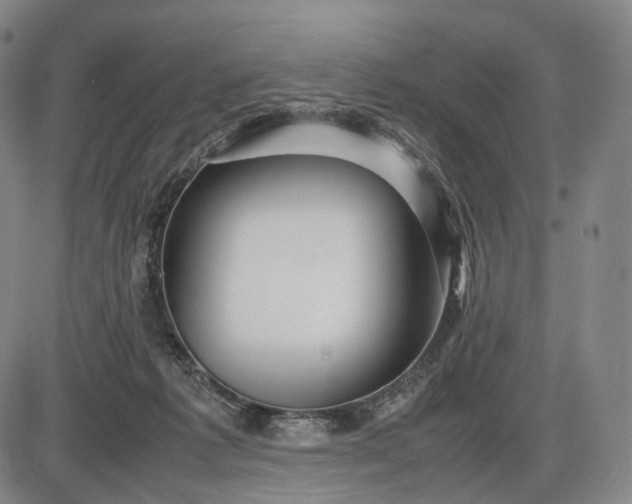 X0000085830221200703301627