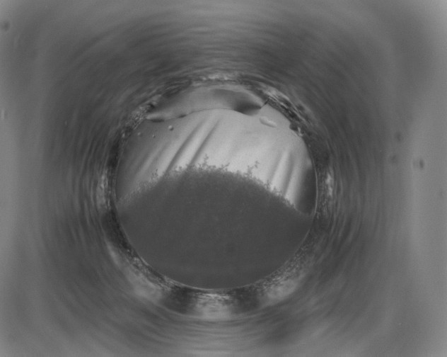 X0000085830222200703301627