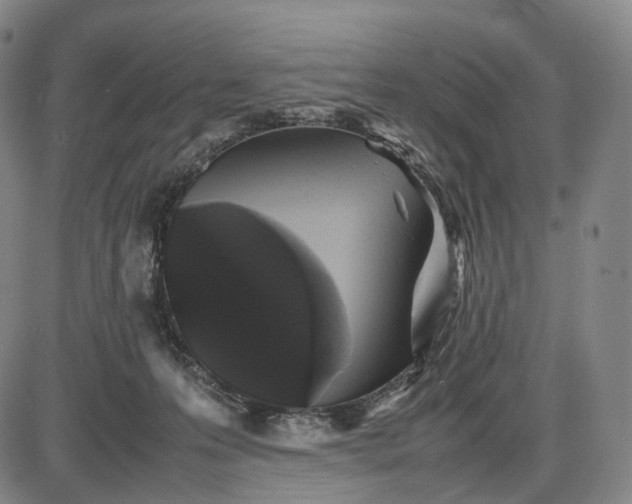 X0000085830223200703301627