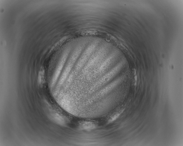 X0000085830224200703301627