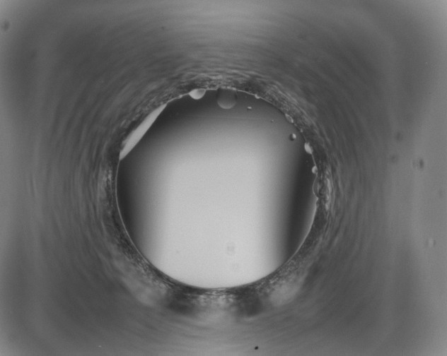 X0000085830225200703301627