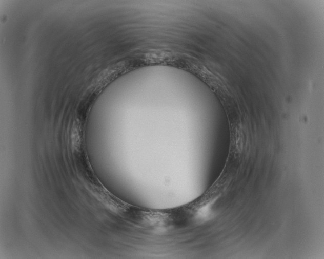 X0000085830226200703301627