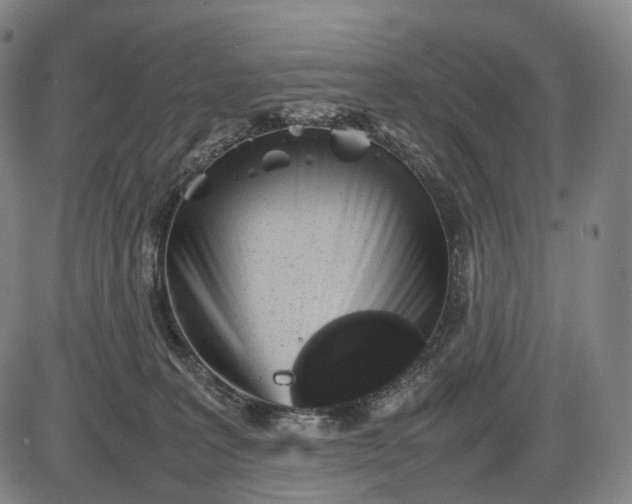 X0000085830227200703301627