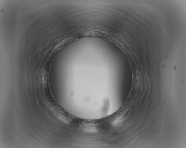 X0000085830228200703301627