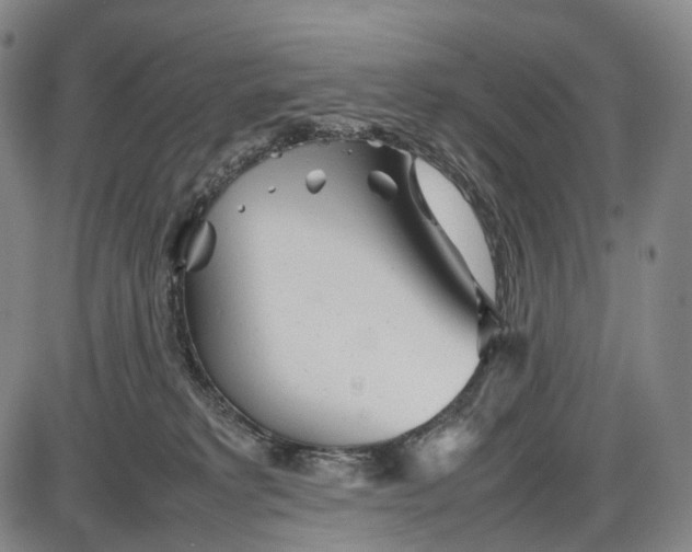 X0000085830229200703301627