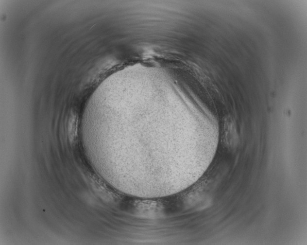 X0000085830230200703301627