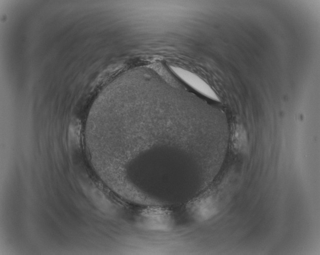 X0000085830231200703301627