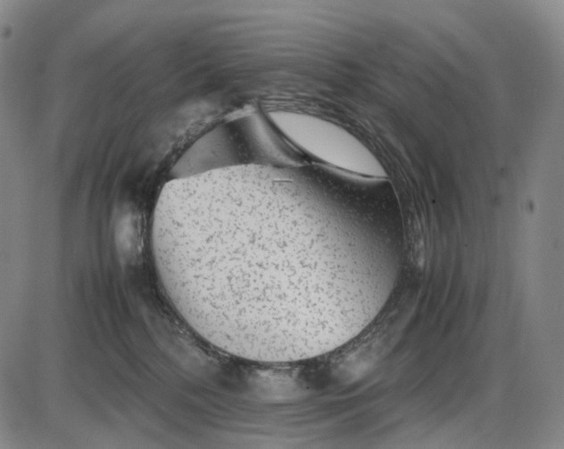 X0000085830232200703301627