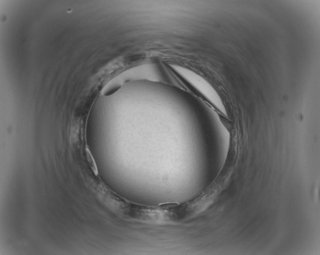 X0000085830233200703301627