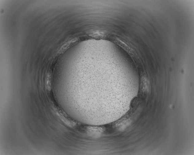 X0000085830234200703301627