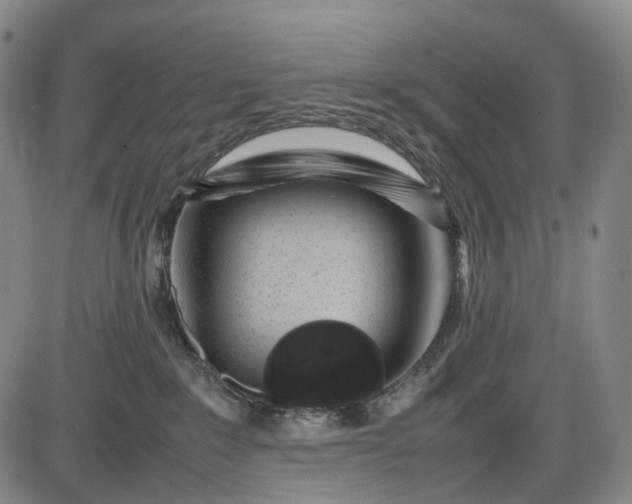 X0000085830235200703301627