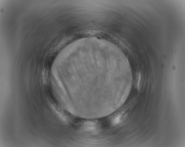 X0000085830236200703301627