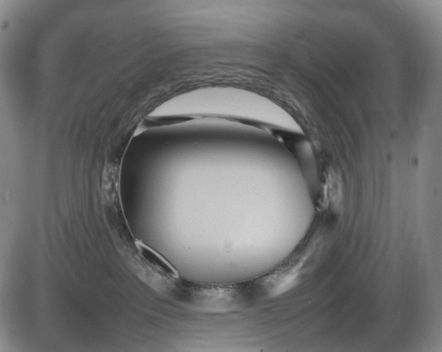 X0000085830237200703301627