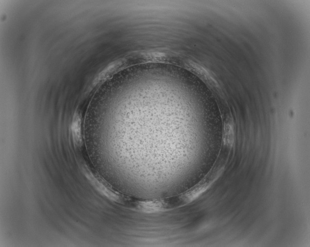 X0000085830238200703301627