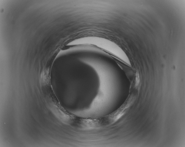 X0000085830239200703301627