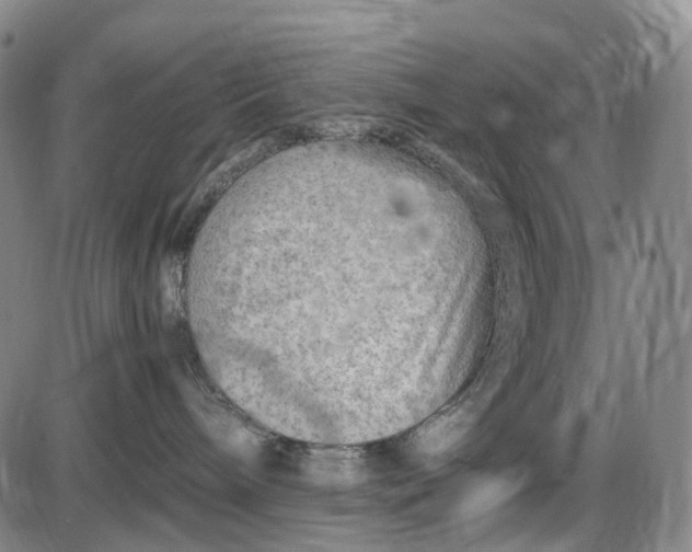 X0000085830240200703301627