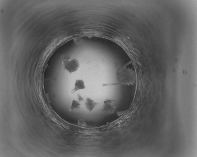 X0000085830241200703301626