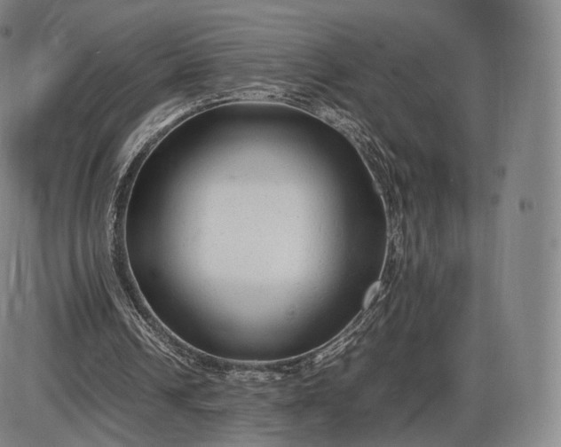 X0000085830242200703301626