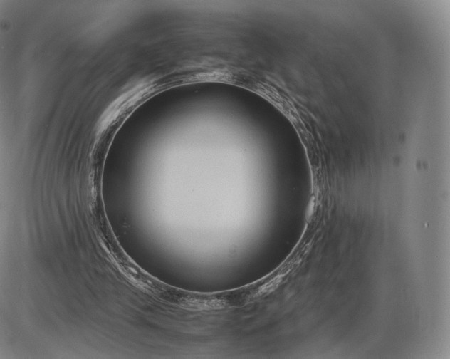 X0000085830245200703301626