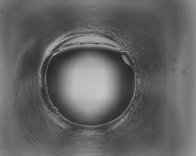 X0000085830246200703301626