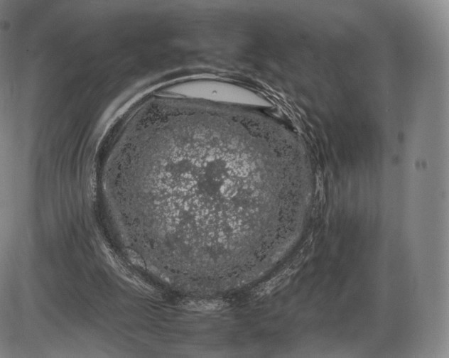 X0000085830247200703301626