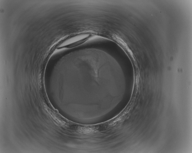 X0000085830249200703301626