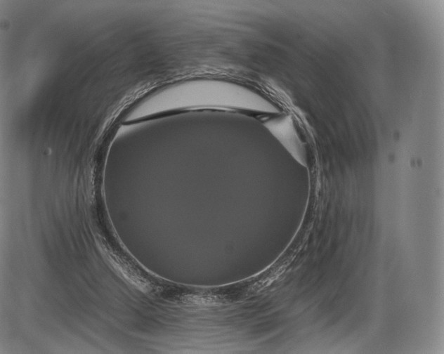 X0000085830250200703301626