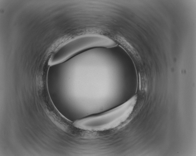 X0000085830252200703301626