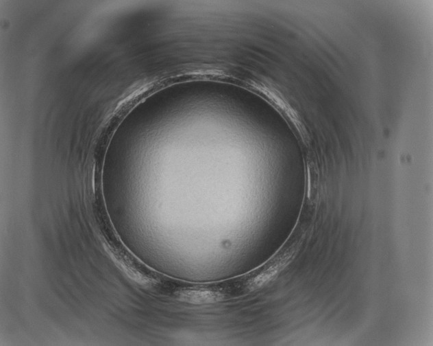 X0000085830253200703301626