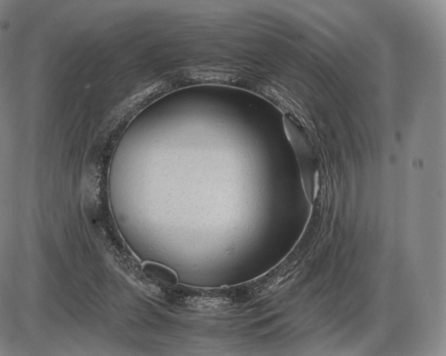 X0000085830255200703301627