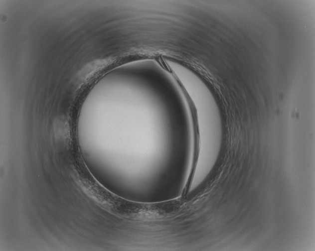 X0000085830256200703301627