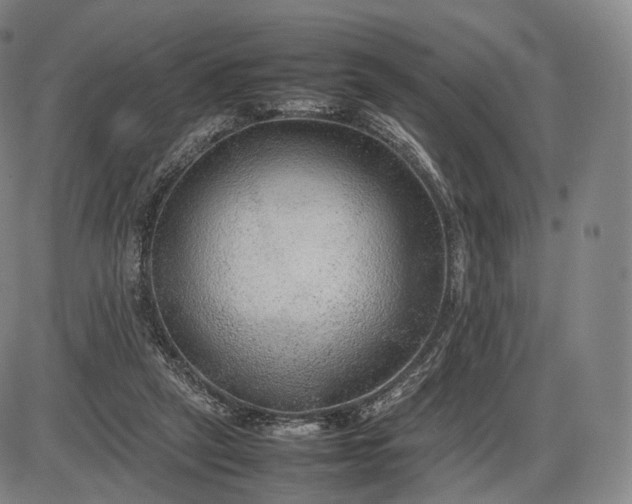 X0000085830257200703301627