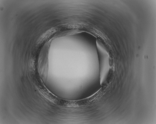 X0000085830258200703301627