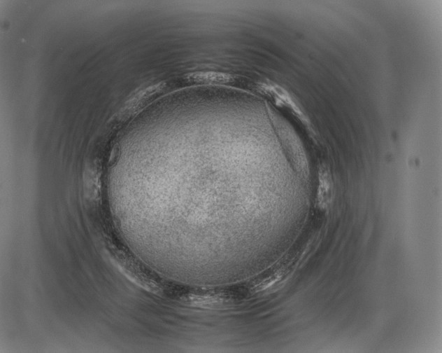 X0000085830259200703301627