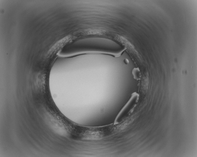 X0000085830260200703301627