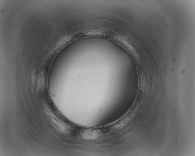 X0000085830261200703301627