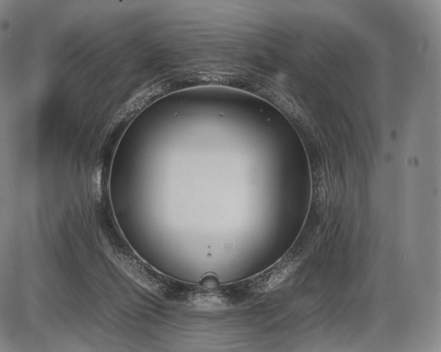 X0000085830262200703301627