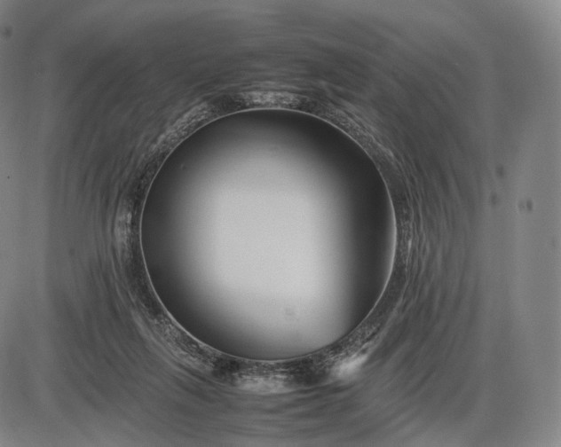 X0000085830263200703301627